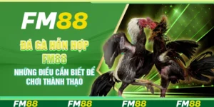 Đá Gà Hỗn Hợp FM88 – Những Điều Cần Biết Để Chơi Thành Thạo
