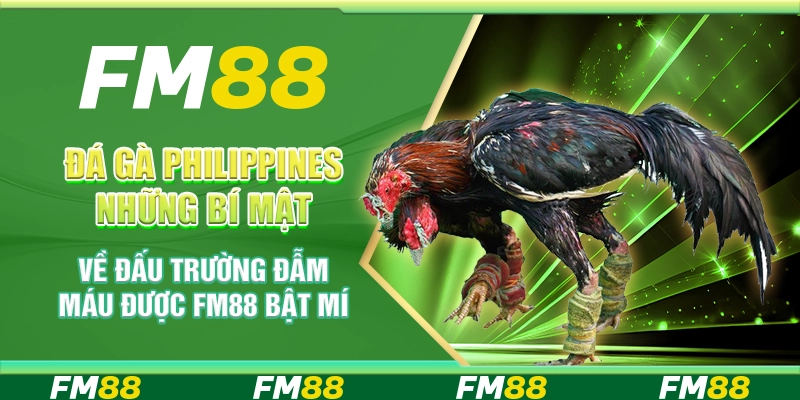 Đá Gà Philippines – Những Bí Mật Về Đấu Trường Đẫm Máu Được FM88 Bật Mí