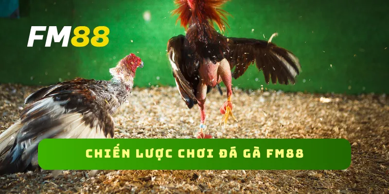 Chiến lược chơi đá gà FM88