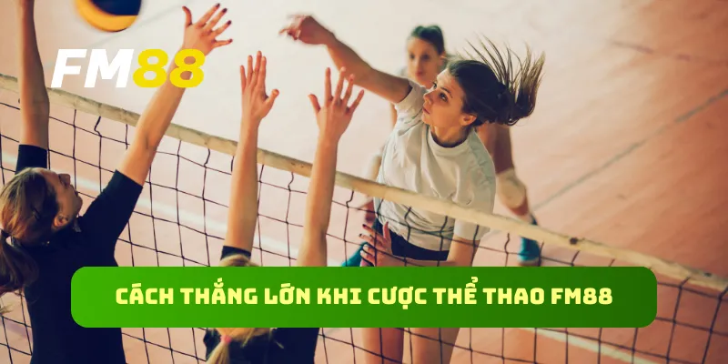 Cách thắng lớn khi cược thể thao FM88