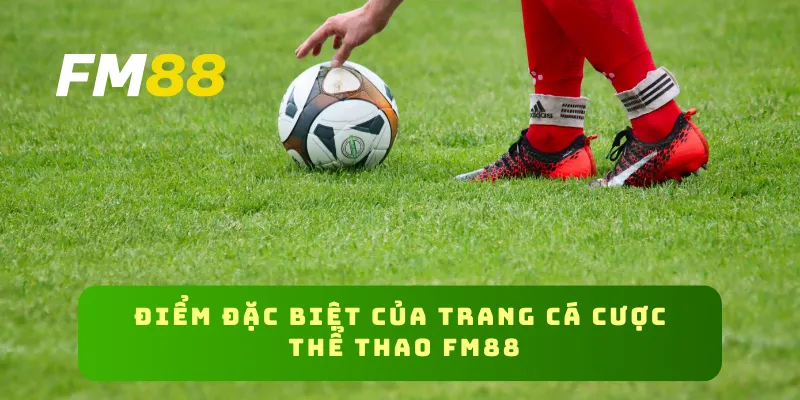 Điểm đặc biệt của trang cá cược thể thao FM88