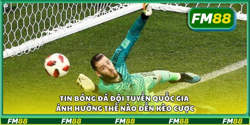 Tin bóng đá đội tuyển quốc gia ảnh hưởng thế nào đến kèo cược