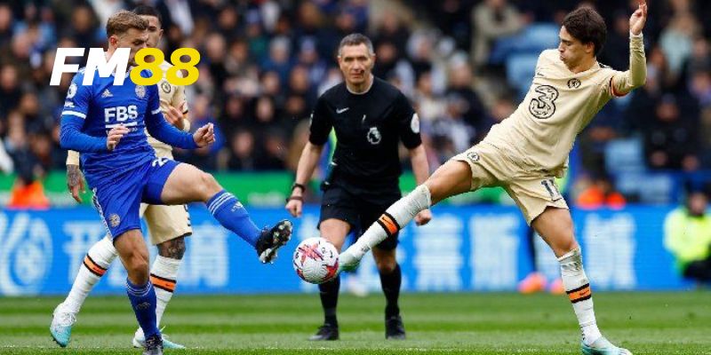 Hướng dẫn cách soi kèo Serie A chuẩn