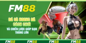 Đá Gà Hoang Dã cách chơi và chiến lược giúp bạn thắng lớn