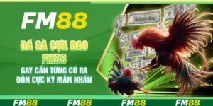 Đá Gà Cựa Dao FM88 – Gay Cấn Từng Cú Ra Đòn Cực Kỳ Mãn Nhãn