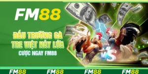 Đấu trường gà tre Việt nảy lửa – cược ngay FM88