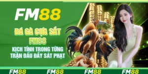 Đá Gà Cựa Sắt FM88 Kịch Tính Trong Từng Trận Đấu Đầy Sát Phạt