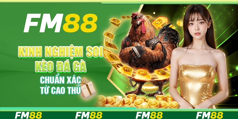 Kinh nghiệm soi kèo đá gà chuẩn xác từ cao thủ