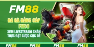 Đá gà đẳng cấp FM88 xem livestream chân thực đặt cược cực dễ