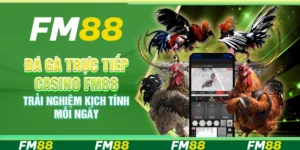 Đá gà trực tiếp casino FM88 – Trải nghiệm kịch tính mỗi ngày