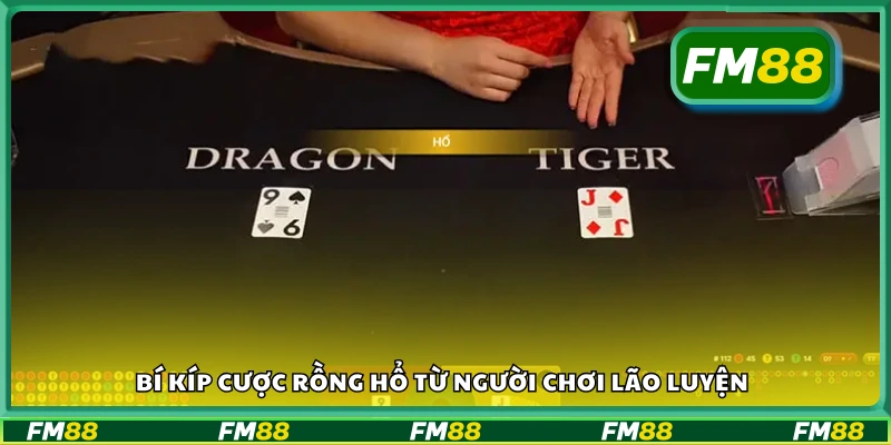 Các bí kíp cược rồng hổ từ người chơi lão luyện