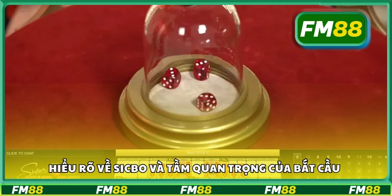 Tìm hiểu về Sicbo và tầm quan trọng của bắt cầu