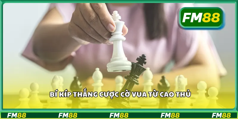 Bí kíp thắng cược cờ vua từ cao thủ