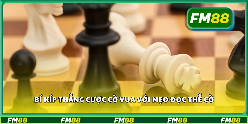 Bí kíp thắng cược cờ vua với mẹo đọc thế cờ