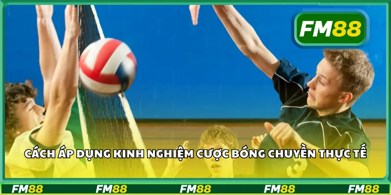 Cách áp dụng kinh nghiệm cược bóng chuyền thực tế