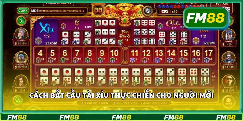 Cách bắt cầu tài xỉu thực chiến cho người mới
