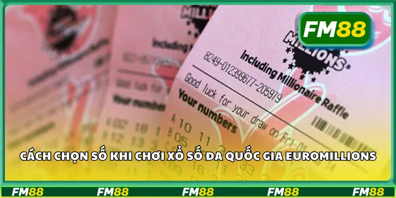 Cách chọn số khi chơi xổ số đa quốc gia EuroMillions
