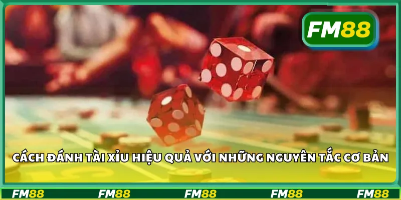 Cách đánh tài xỉu hiệu quả với những nguyên tắc cơ bản