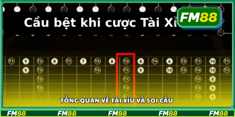 Giới thiệu cơ bản về trò tài xỉu và cách soi cầu