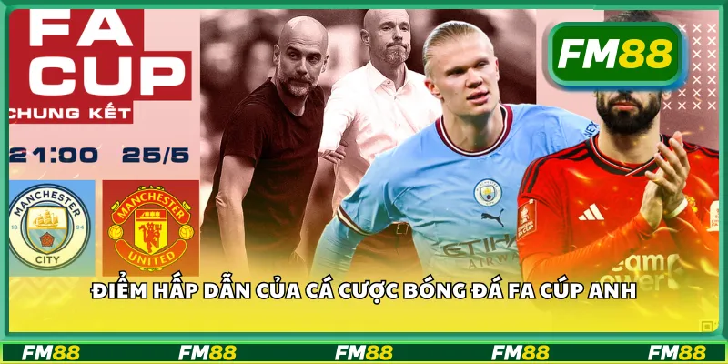 Điểm hấp dẫn của cá cược bóng đá FA Cúp Anh