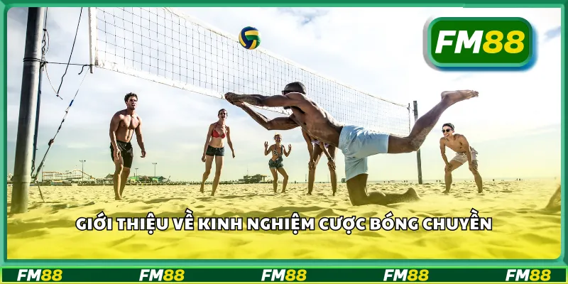 Giới thiệu về kinh nghiệm cược bóng chuyền