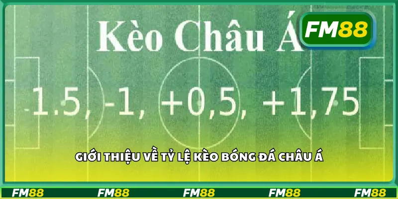 Giới thiệu về tỷ lệ kèo bóng đá châu Á