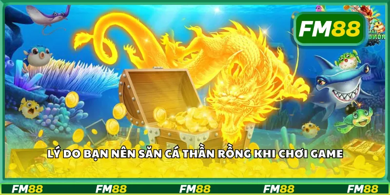 Lý do bạn nên săn cá thần rồng khi chơi game