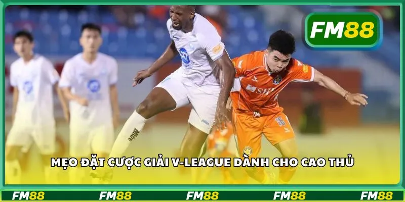 Mẹo đặt cược giải V-League dành cho cao thủ