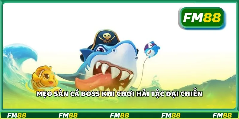 Mẹo săn cá boss khi chơi hải tặc đại chiến