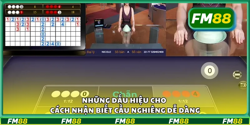 Những dấu hiệu cho cách nhận biết cầu nghiêng dễ dàng