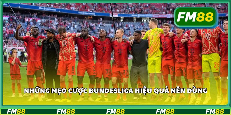 Những mẹo cược Bundesliga hiệu quả nên dùng