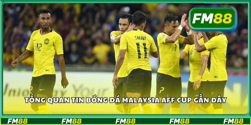 Tổng quan tin bóng đá Malaysia AFF Cup gần đây
