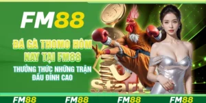 Đá gà Thomo hôm nay tại FM88 – Thưởng thức những trận đấu đỉnh cao