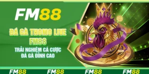 Đá gà Thomo Live FM88 – Trải nghiệm cá cược đá gà đỉnh cao