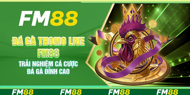 Đá gà Thomo Live FM88 – Trải nghiệm cá cược đá gà đỉnh cao