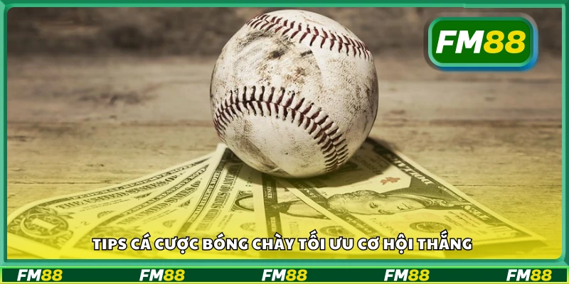 Bật mí mẹo chọn kèo bóng chày dễ trúng