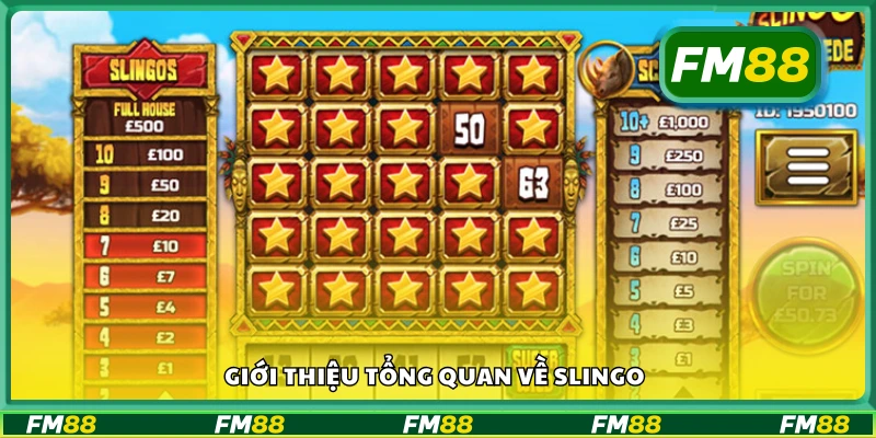Tìm hiểu tổng quan về Slingo